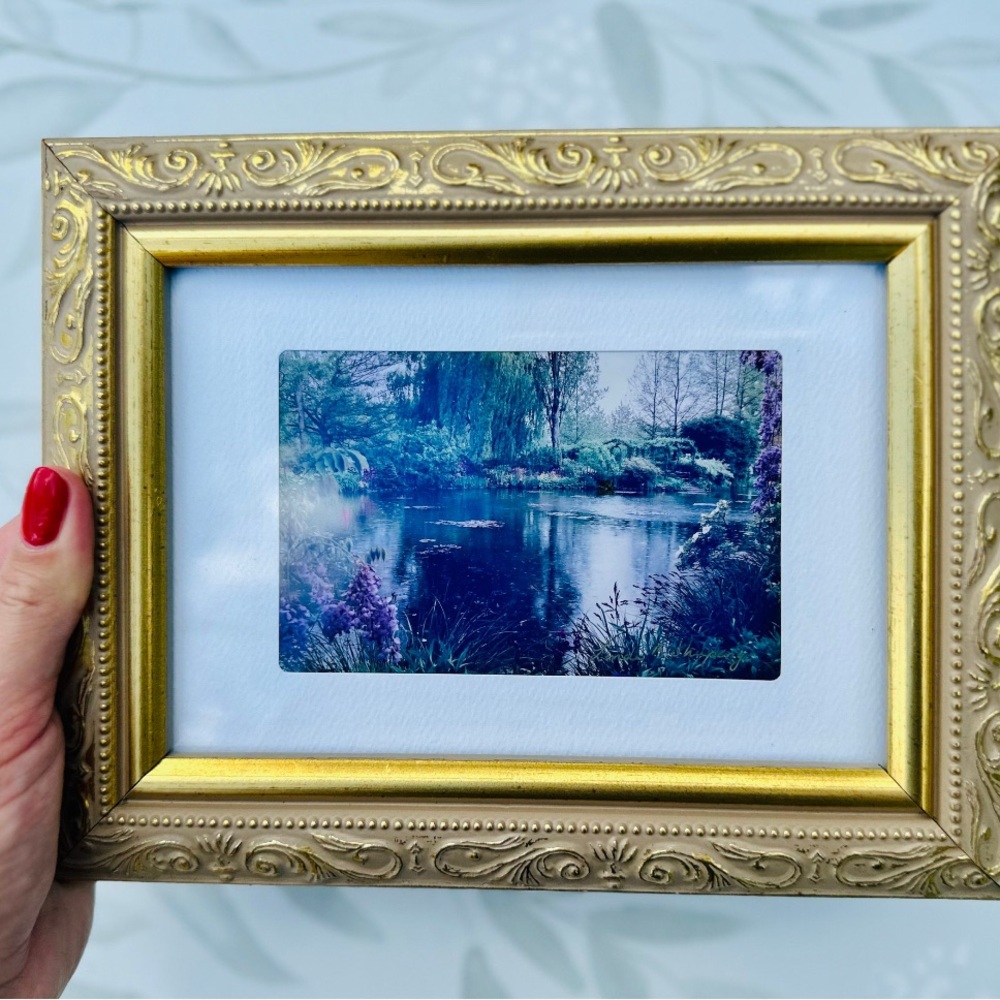 Vintage Nature Scenic Landscape Original Signed Photograph in Gold Frame